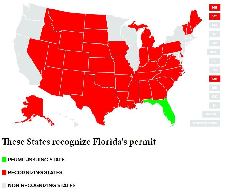 Florida Gun Laws